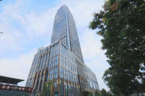 二、武汉艺星的隆鼻手术过程是怎样的？价格贵不贵？