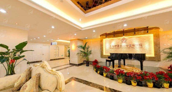 三、项目核心：精细化眼部塑形的技术亮点