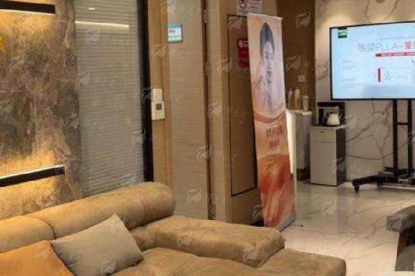 二、项目特色与技术优势