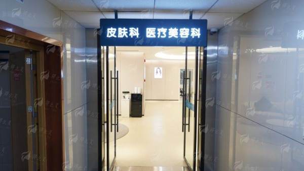 二、项目与医生：专精团队的精细化塑造