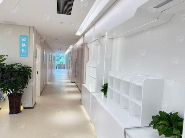 一、机构实力：国有背景下的安心之选