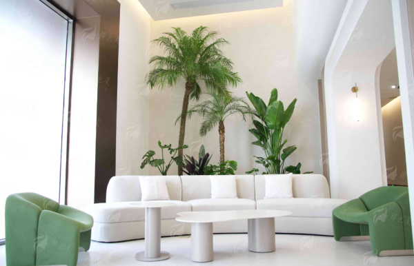 三、陈玉连医生双眼皮技术特色与自然度对比