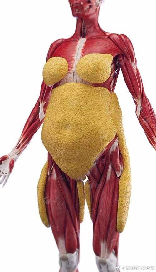 三、在廊坊医大（知颜）医疗美容做手臂吸脂，价格与服务怎么样？