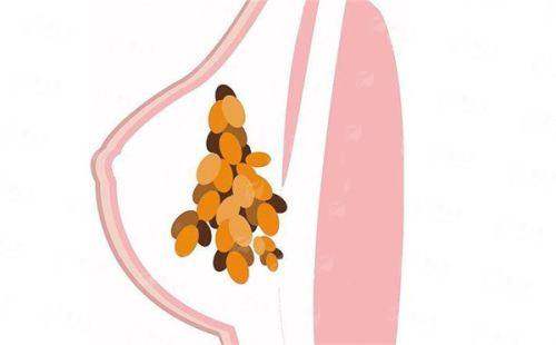 医院与医生资质认证