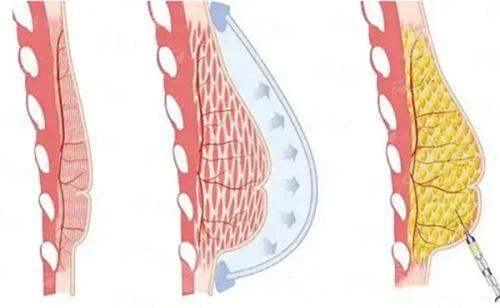 <strong>总结与建议</strong>