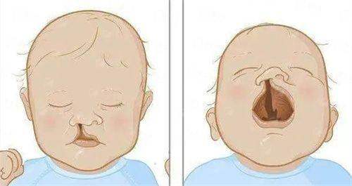 五、新颜智尚小程序预约指南