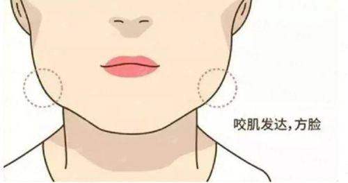 二、重庆铜雀台特色吸脂项目体系