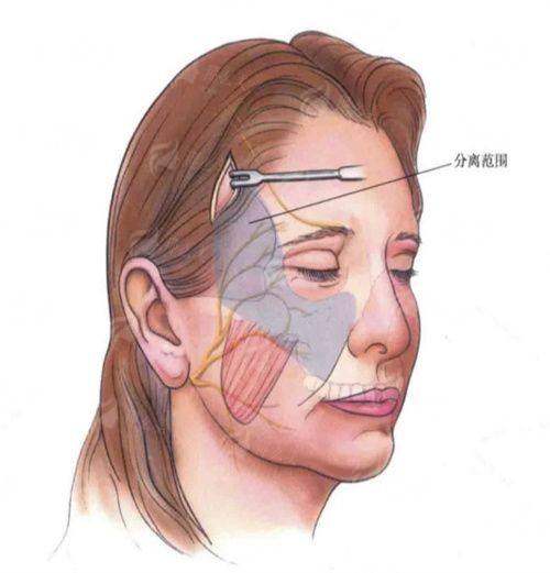 五、新颜智尚小程序预约全流程指南
