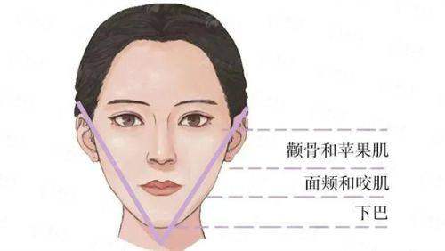 <strong>医师亲诊：骨干医生团队如何保护脂肪丰臀手术的成功几率？</strong>