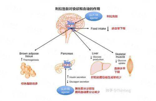 五、重庆铜雀台整形医院隆胸价格参考