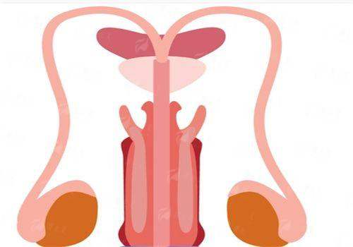 <strong>深度拆解：北京艺星成铤吸脂技术的五大核心优势</strong>