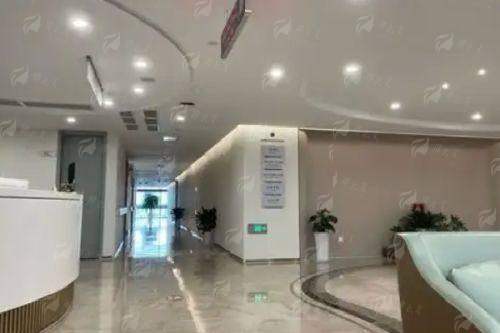 <strong style="color: rgb(255, 0, 0);">东方黄金三角鼻雕预约方式详解——从询问到面诊的完整路径</strong>