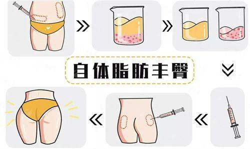 <strong>总结与建议</strong>