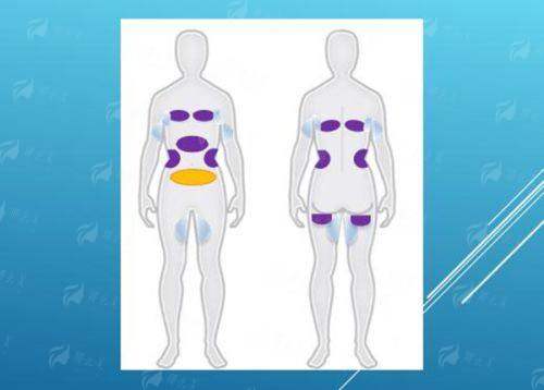 <strong style="color: rgb(255, 0, 0);">上海联合丽格与骨干医生团队：范荣杰院长的硬核背书</strong>