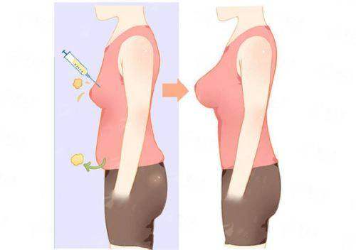 <strong style="color: rgb(255, 0, 0);">谢云院长技术深度分析：轮廓固定的“掌舵者”</strong>