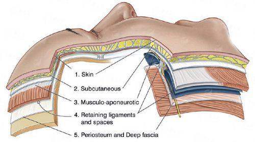 <strong>二、<strong>周海彦院长隆胸有哪些特色方式？天津申伊童颜医疗美容的项目详解</strong></strong>
