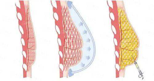<strong>四、在郑州如何理性选择与更终决策？</strong>