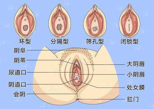 <strong>三、在山东济南做卢健隆鼻修复，价格和医生如何选择？</strong>