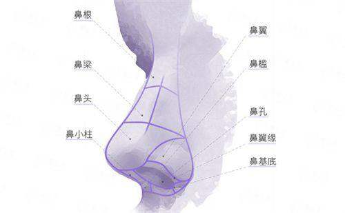 <strong>如何预约北京圣嘉新张笑天院长的面诊与手术？</strong>