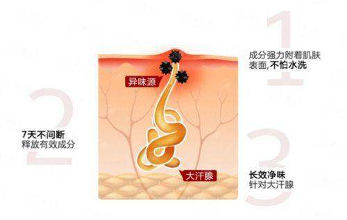 <strong>骨干医生团队实力：陶琳院长的资历与实例见证</strong>