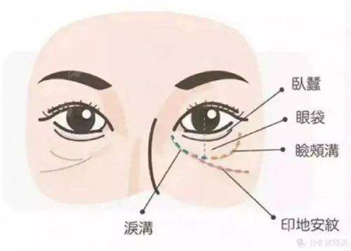 <strong>三、广州军美王世虎吸脂，如何预约与面诊？</strong>