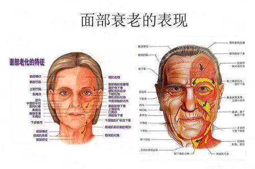 <strong>选择北京陈思羽隆鼻,服务质量与术后护理怎么样?</strong>