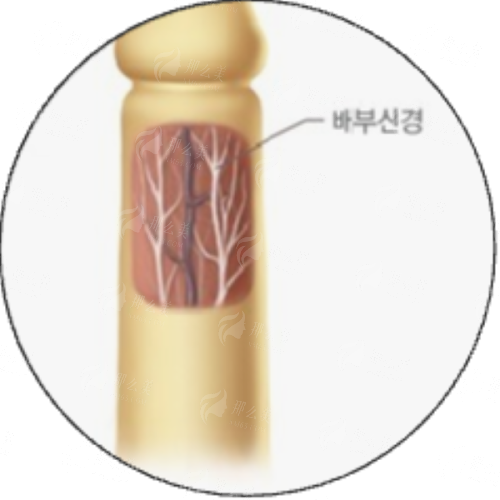 <strong>三、许昌正美韶华医疗整形的SMAS筋膜提升价格与优势何在？</strong>