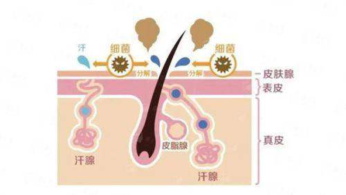 <strong>总结：如何成功预约刘文阁医生的馒化脸修复？</strong>