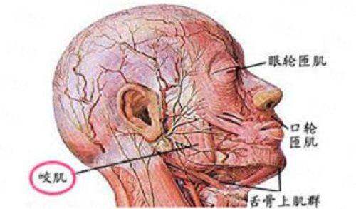 深圳比奥芳华门诊部做自体脂肪隆胸怎么样？附医生介绍及新颜智尚小程序预约方式