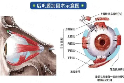 <strong>超越技术：杭州艺星的服务质量与术后关怀体系</strong>