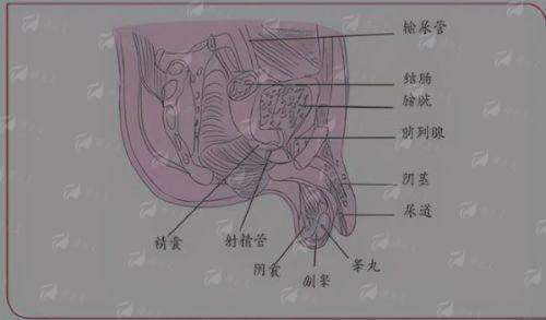 <strong>二、广州广大医院的PEEK 3D打印医生团队与审美如何?</strong>