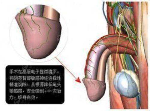 <strong>杭州艺星医疗美容医院杨钰萍轮廓整形怎么样？特色项目与仪器揭秘</strong>