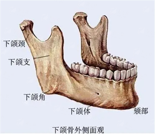 <strong>四、<strong>总结：如何选择适合自己的双眼皮医生？</strong></strong>