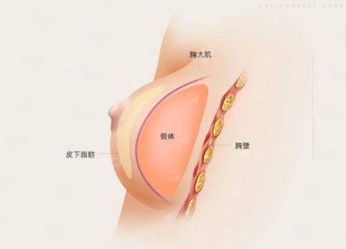 <strong>如何预约嘉兴艺星医疗美容医院的张晓亮院长?</strong>