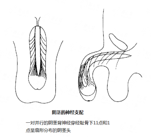 <strong>总结：重庆华美李瑞琦做双眼皮值得选择吗？</strong>