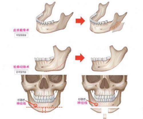 <strong>支撑不错技术的特色仪器与设备</strong>