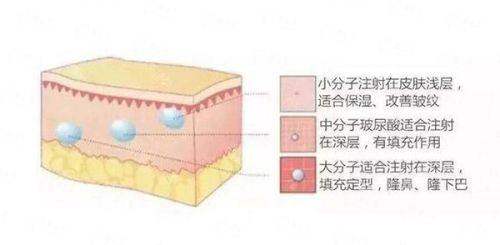 <strong>北京嘉禾侯智慧的服务质量与口碑究竟如何?</strong>