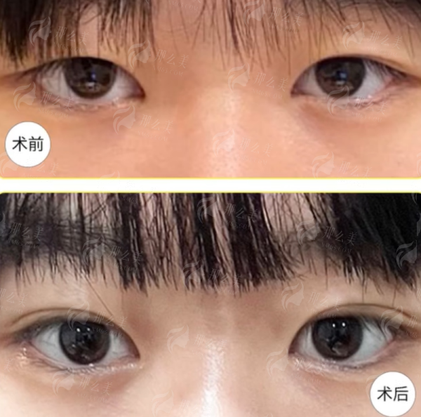 <strong>全方面了解：武汉五洲的服务、价格与口碑</strong>