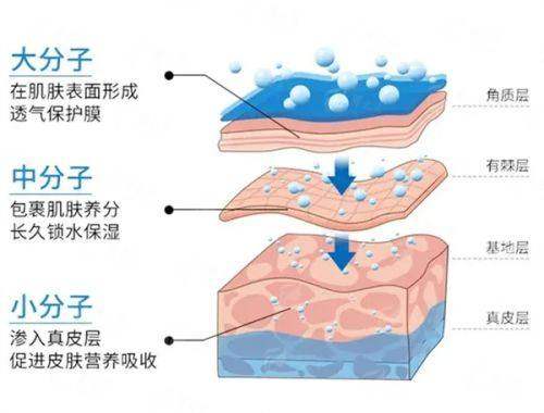 <strong>四、南宁东方的腰腹吸脂如何选择与预约?</strong>