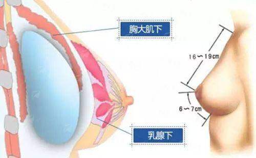 <strong>四、如何理性决策并预约上海华美李志海医生的轮廓面诊？</strong>
