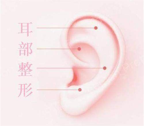 <strong>四、选择郑州梨花雨做吸脂塑形，该如何预约与准备？</strong>