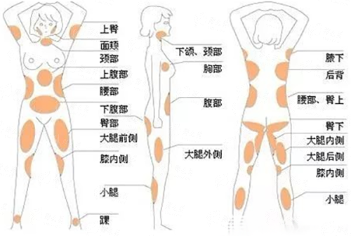 <strong>辅助加持:南京米兰柏羽特色仪器如何提升体验?</strong>