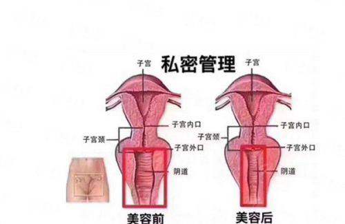 <strong>如何效率高预约李高峰主事进行面诊？</strong>