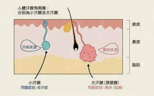 <strong>西安大爱医美 张国孝院长拉皮技术优势究竟有哪些?</strong>