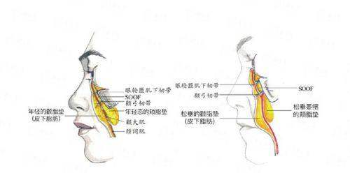 <strong>超越价格:苏州紫馨的服务质量与口碑探秘</strong>