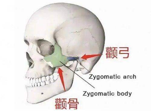 <strong>患者口碑见证:成都新华整形罗通贵美胸真实实例分享</strong>