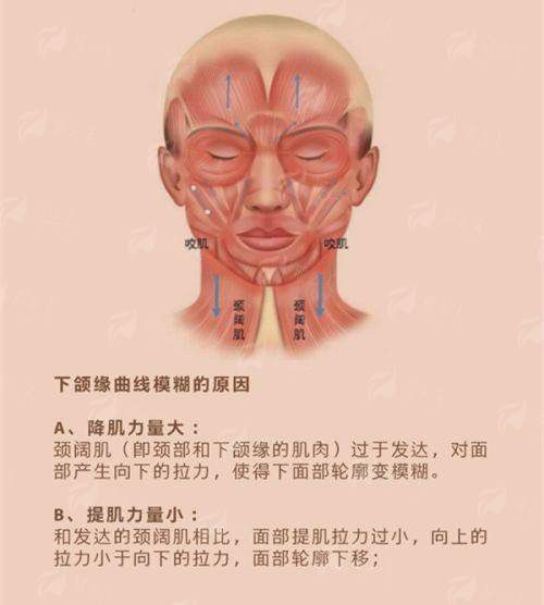 <strong>二、马文足科的王牌项目与特色技术解析</strong>