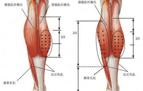 <strong>揭秘核心:王亚伟医生的技术优势与个性化设计</strong>