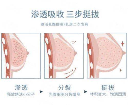 <strong>北京艺美硕德王东脂肪隆胸预约全攻略</strong>