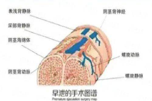 <strong>杭州时光医疗美容的服务与口碑如何?</strong>